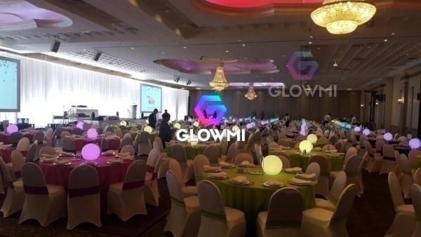 Wedding Decor | 12 LED Ball Sphere Mood Lighting Rental for Ambience